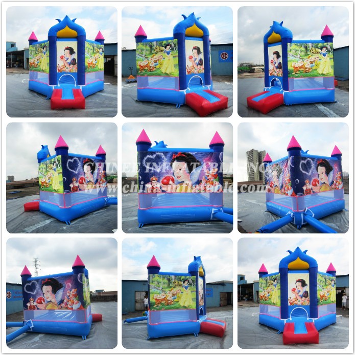 a - Chinee Inflatable Inc.