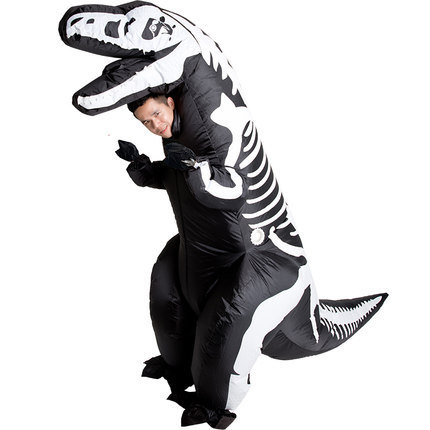IC1-032 Dinosaur Costume
