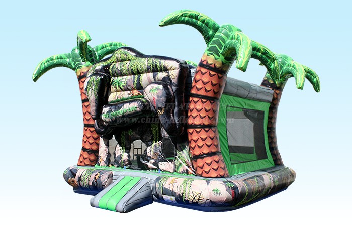T2-4223 Emerald Cave