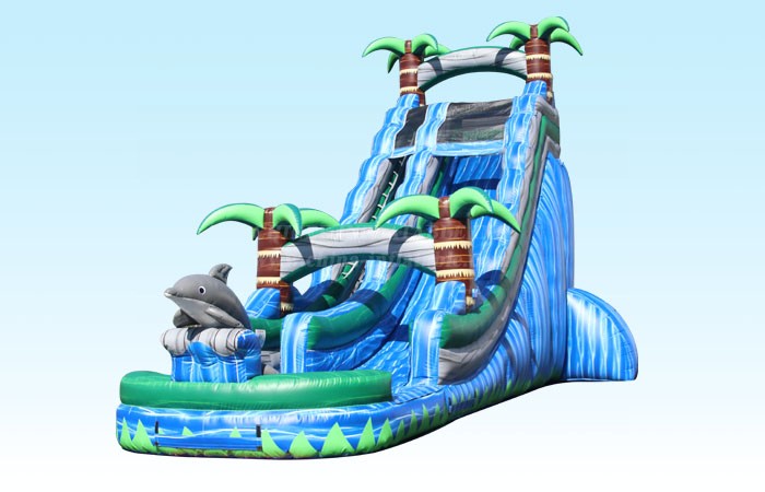 T8-4070 22Ft Dolphin Splash