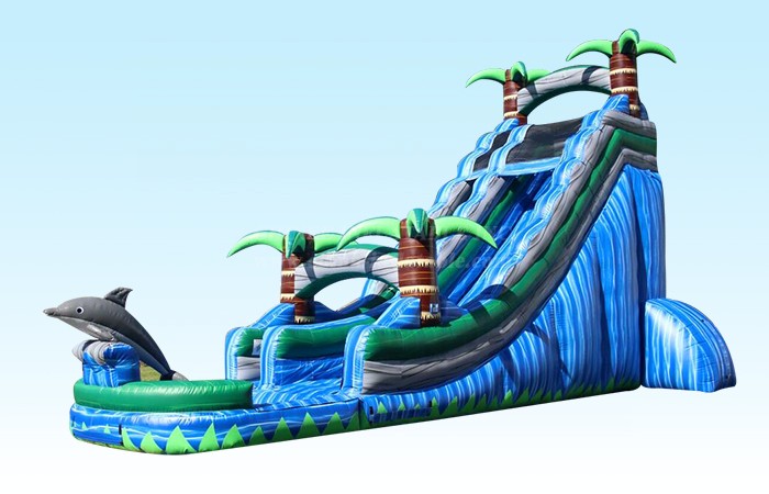 T8-4070 22Ft Dolphin Splash
