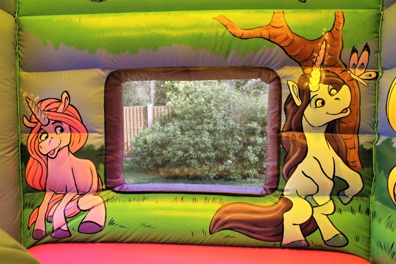 T2-4417 Unicorn Jump N Slide