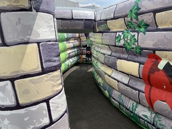 T11-3131 Castle Maze