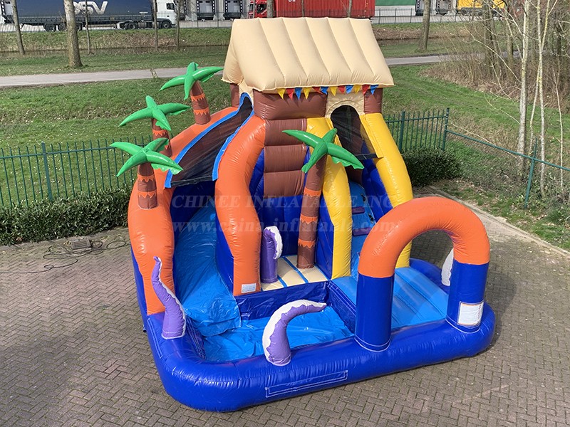 T8-4224 Waterslide Tropical Island