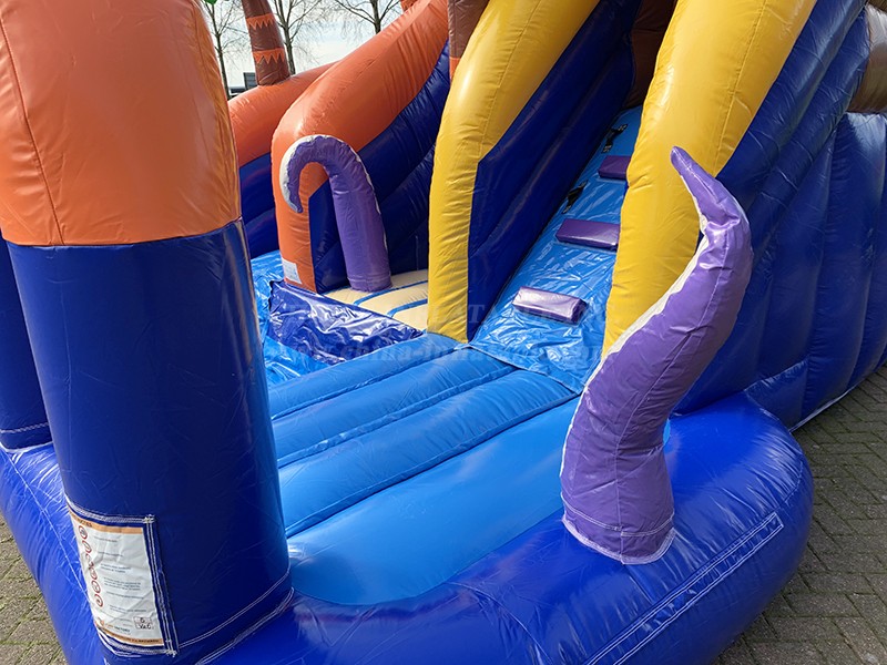 T8-4224 Waterslide Tropical Island