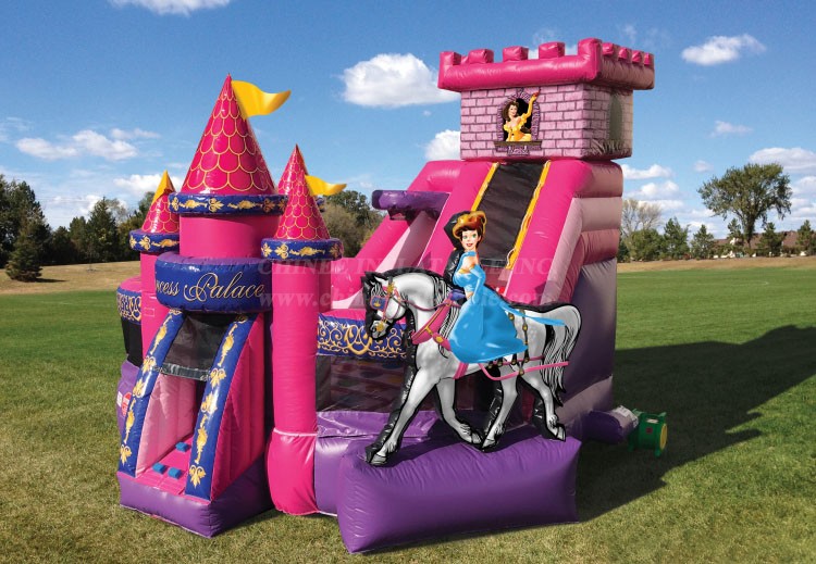 T2-4434 Disney Princess Castle Combos