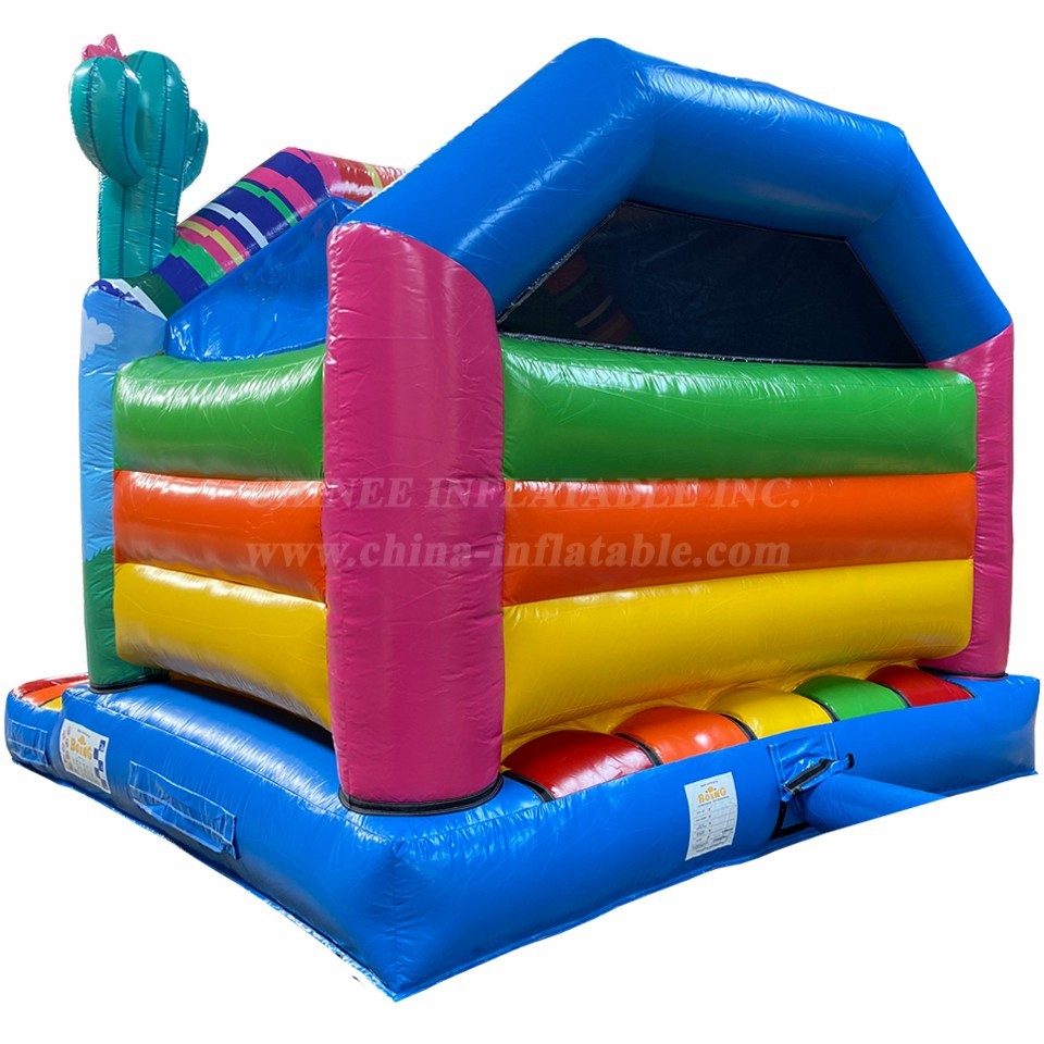 T2-4837 Alpaca Inflatable Combo