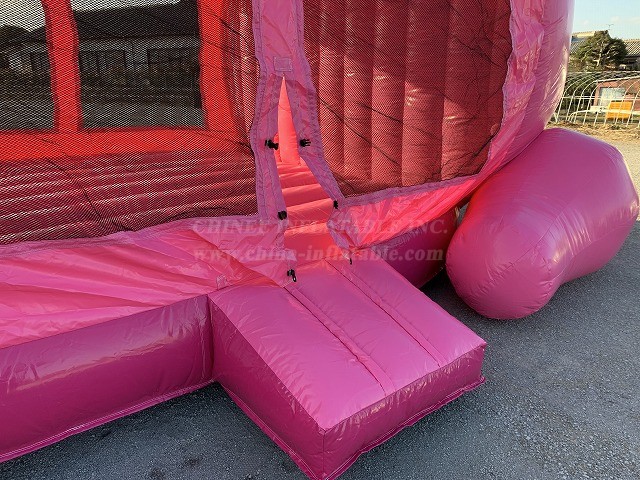 T2-4713 Big Head Pig Bouncer