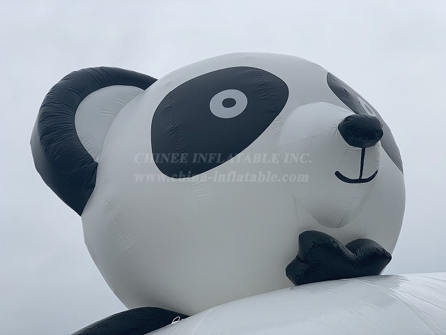 T2-4772 Panda Dome Bouncer