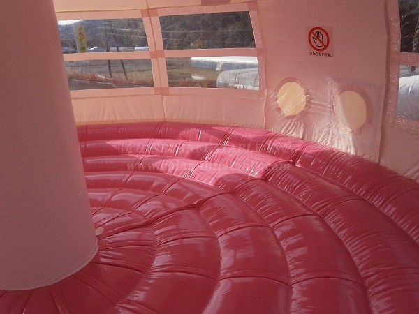 T2-4776 Cows Dome Bouncer
