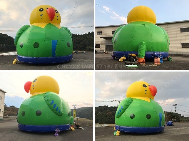 T2-4773 Parrot Dome Bouncer