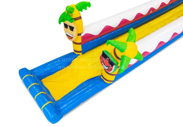 T8-4602 Waterslide Hawaii