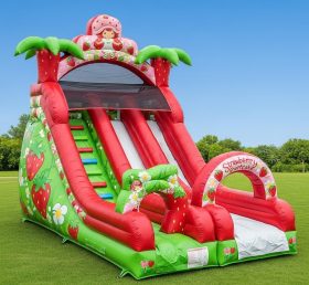 T8-8318 Strawberry Shortcake Theme Infla...