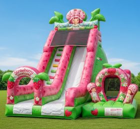 T8-8320 Strawberry Shortcake Theme Infla...