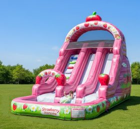 T8-8548 Strawberry Shortcake Theme Infla...