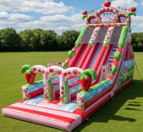 T8-9172 Strawberry Theme Inflatable Slid...