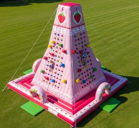 T11-4394 Strawberry Shortcake Theme Infl...